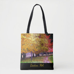 Boston, Massachusetts Fall Foliage Tygkasse
