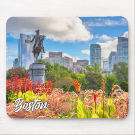 Boston, Massachusetts, Förenade Stater Musmatta