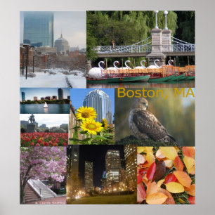 Boston Massachusetts fotoCollage Poster