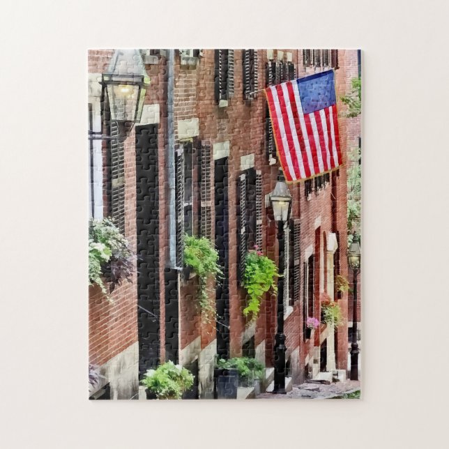Boston MORSA - Acorn Street Pussel (Vertikal)