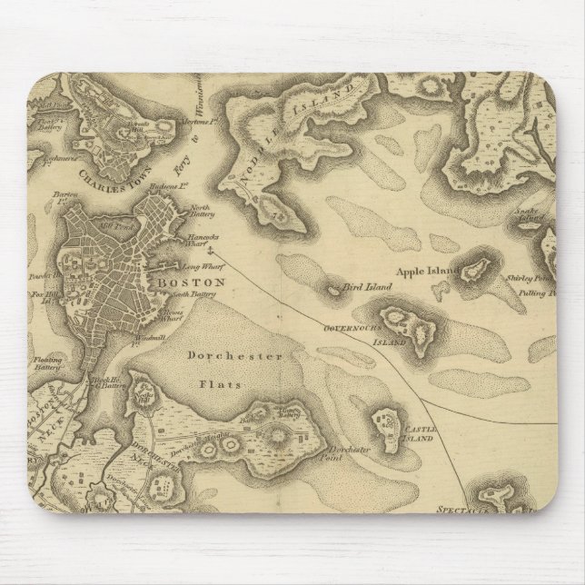 Boston och dess Environs Musmatta (Framsidan)