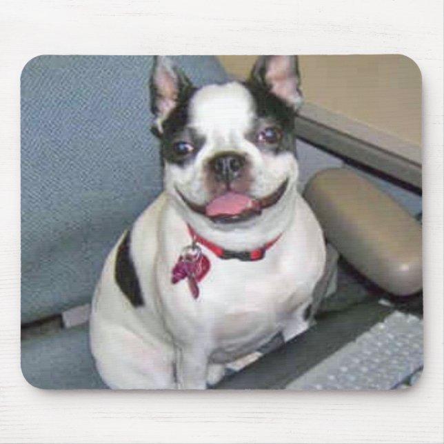 Boston på datoren Mousepad Musmatta (Framsidan)