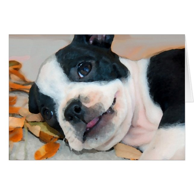 Boston Play Hälsningskort (Framsidan Horizontal)