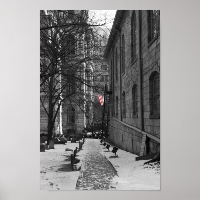 Boston Poster (Framsidan)