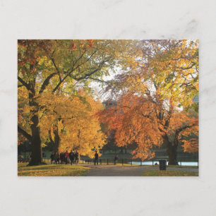 Boston Public Garden Autumn Vykort
