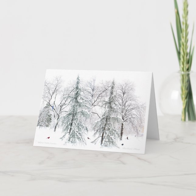 Boston Public Garden:Enkla nöjen för säsongen Helgkort (Framsida)