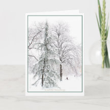 Boston Public Garden: Helgdag Yuletide