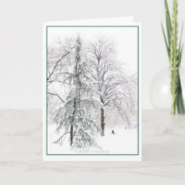 Boston Public Garden: Helgdag Yuletide Helgkort