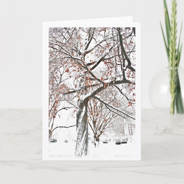 Boston Public Garden Helgkort (Framsida)