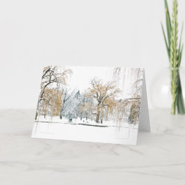 Boston Public Garden Helgkort