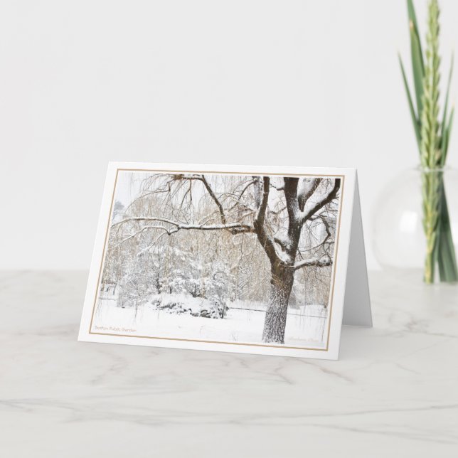 Boston Public Garden Julkort Helgkort (Framsida)