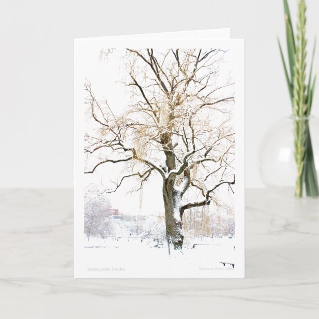 Boston Public Garden: lägg till hälsning Kort (Framsida)