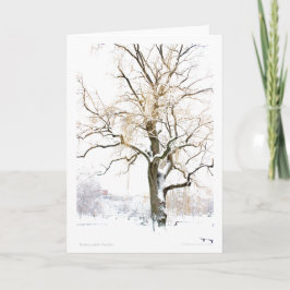 Boston Public Garden: lägg till hälsning Kort