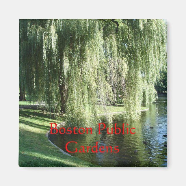 Boston Public Garden Magnet (Framsidan)