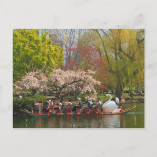 Boston Public Garden Svan Boat i Vår Vykort