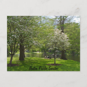 Boston Public Garden Vykort