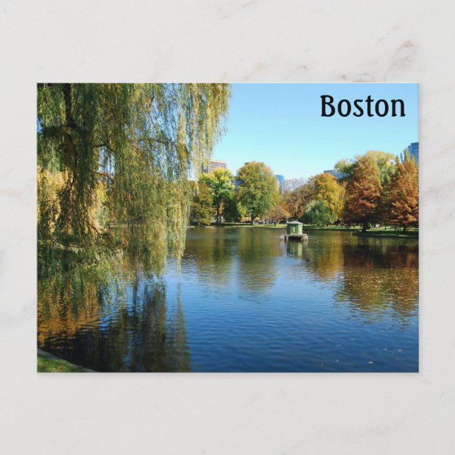 Boston Public Gardens, Massachusetts Vykort (Framsida)