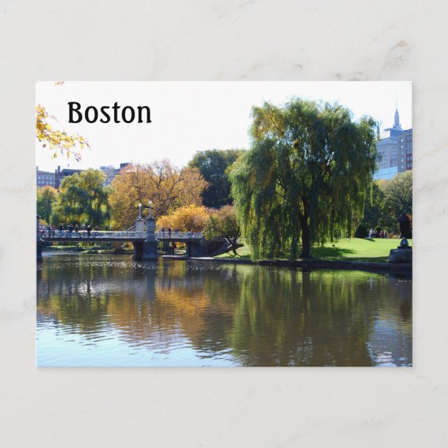 Boston Public Gardens, Massachusetts Vykort (Framsida)