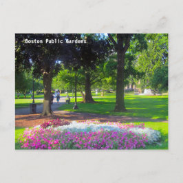 Boston Public Gardens Postcards Vykort