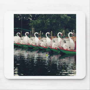 Boston Public Gardens Svan Boats Musmatta