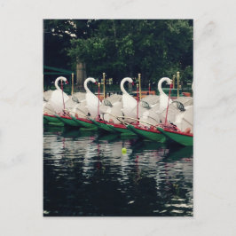 Boston Public Gardens Svan Boats Vykort