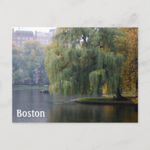 Boston Public Gardens Vykort