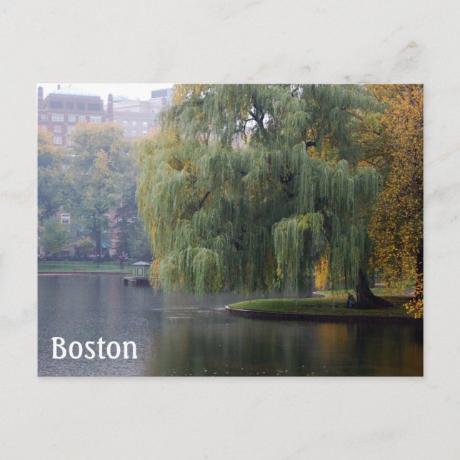 Boston Public Gardens Vykort (Framsida)