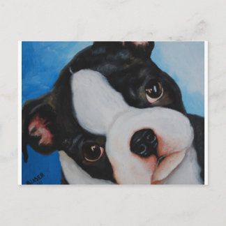 boston pup.jpg vykort