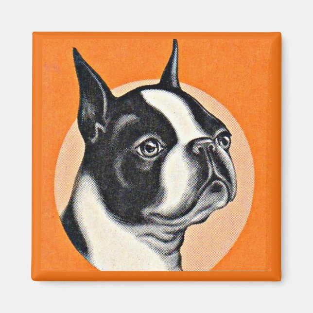 Boston skräcker magnet (Framsidan)