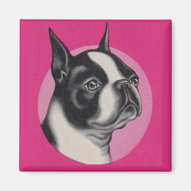 Boston skräcker magnet (Framsidan)