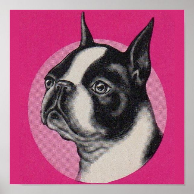 Boston skräcker poster (Framsidan)