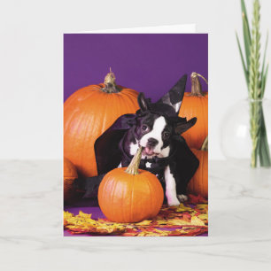 Boston skräcker pumkin Halloween-anpassade-kort Kort