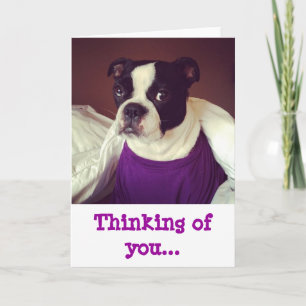 Boston som Terrier-Är tänkande av dig Kort