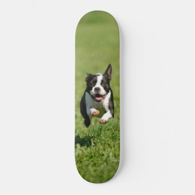 Boston springSkateboard Skateboard Bräda 19,5 Cm (Framsida)