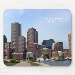 Boston stadsstrand - musen vadderar musmatta