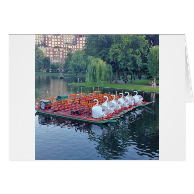 Boston Svan Boats Hälsningskort (Framsidan Horizontal)