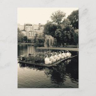Boston Svan Boats in Black and White Vykort