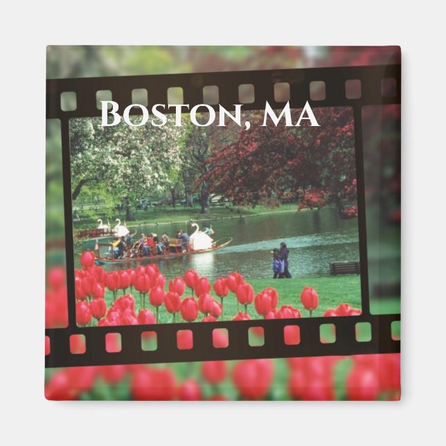Boston Svan Boats Magnet (Framsidan)