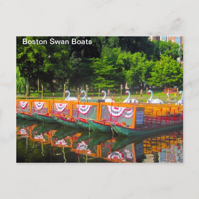 Boston Svan Boats vykort (Framsida)