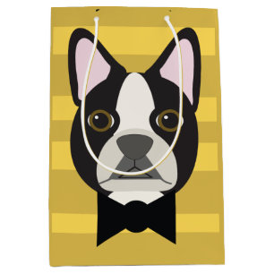 Boston Terrier