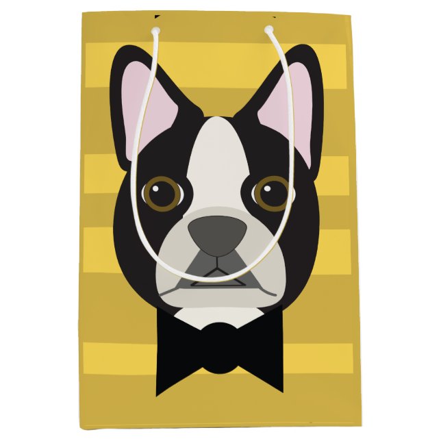 Boston Terrier (Framsidan)