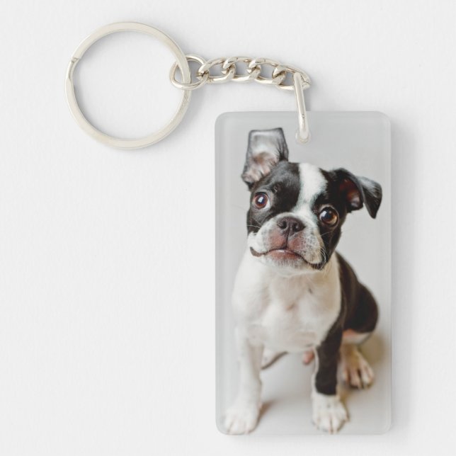 Boston Terrier (Framsidan)