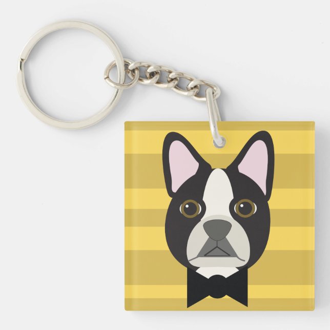 Boston Terrier (Framsidan)