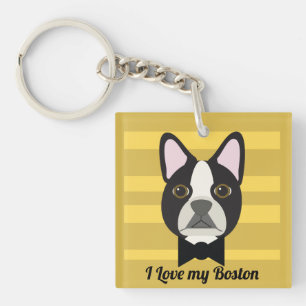 Boston Terrier