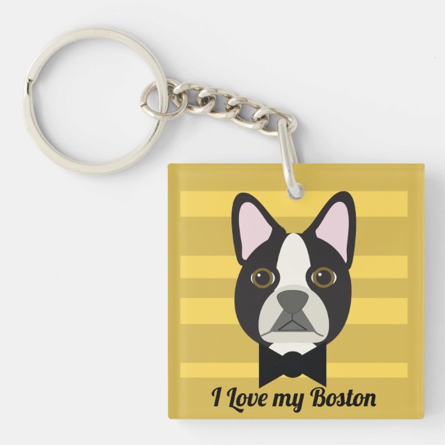 Boston Terrier (Framsidan)