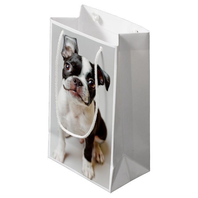 Boston Terrier (Framsidan Vinklad)