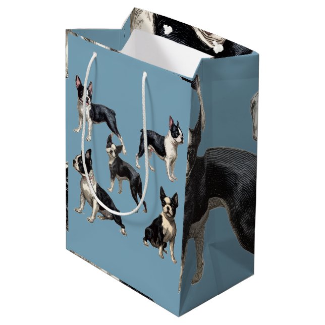 Boston Terrier (Baksidan Vinklad)
