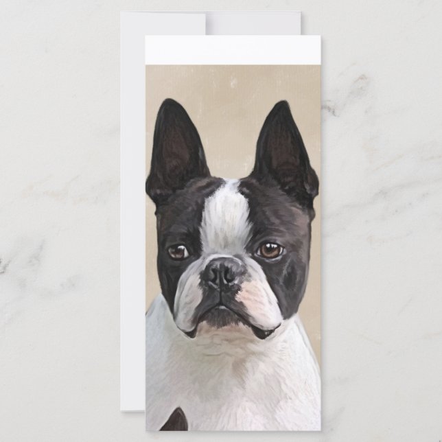 Boston Terrier (Framsida)