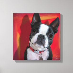 Boston Terrier 12 x 12 utsträckt arbetsyta Canvastryck