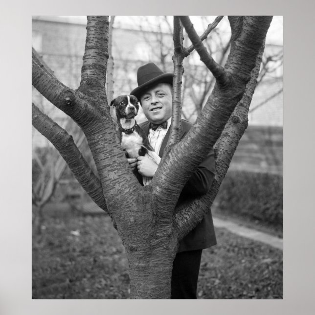 Boston Terrier, 1920-talet Poster (Framsidan)